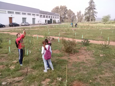 Prácticas en el Bosque Universitario de la asignatura de Ecología, de 2º de Ciencias Ambientales
