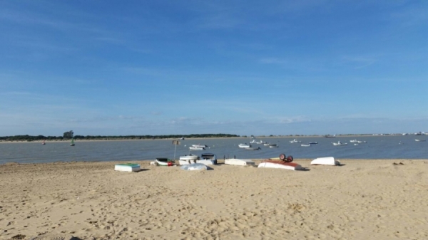 Desembocadura del Guadalquivir. Sanlúcar de Barrameda (Cádiz).