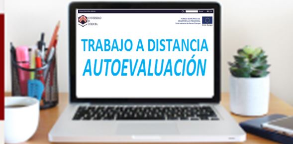 AUTOEVALUACION teletrabajo