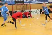 Talleres de educacin en valores a travs de los deportes alternativos en la UCO: kin-ball y floorball