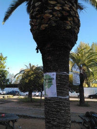 Voluntarios universitarios inician una campaa sobre los residuos de Rabanales