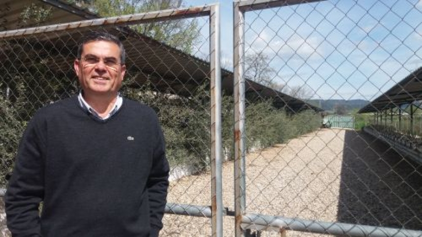 Patólogos de la UCO cercan dos hongos responsables de la seca de ramas en el olivar español y tunecino