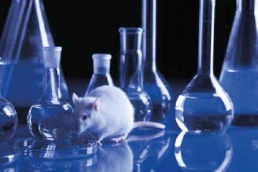 Unas jornadas repasan la normativa sobre experimentación animal