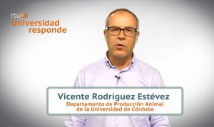 El investigador Vicente Rodríguez durante la emisión del programa