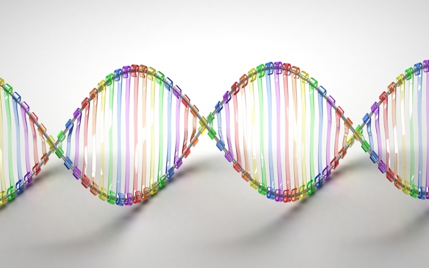 El “copiapega” molecular da un nuevo paso para evitar los procesos de alteración epigenética del cáncer 